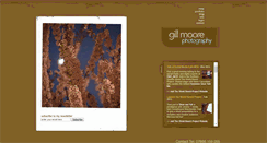 Desktop Screenshot of gillmoorephotography.co.uk