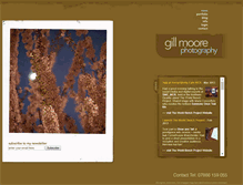 Tablet Screenshot of gillmoorephotography.co.uk